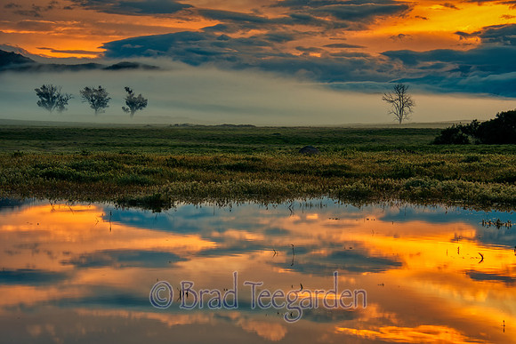 Sunrise, Fog and a vernal pool, Grasslands Preserve